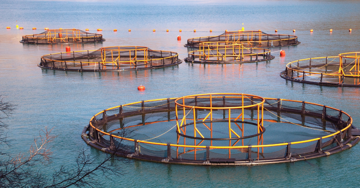 Aquaculture5